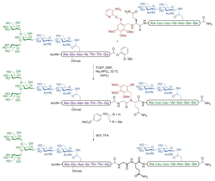 Scheme 6