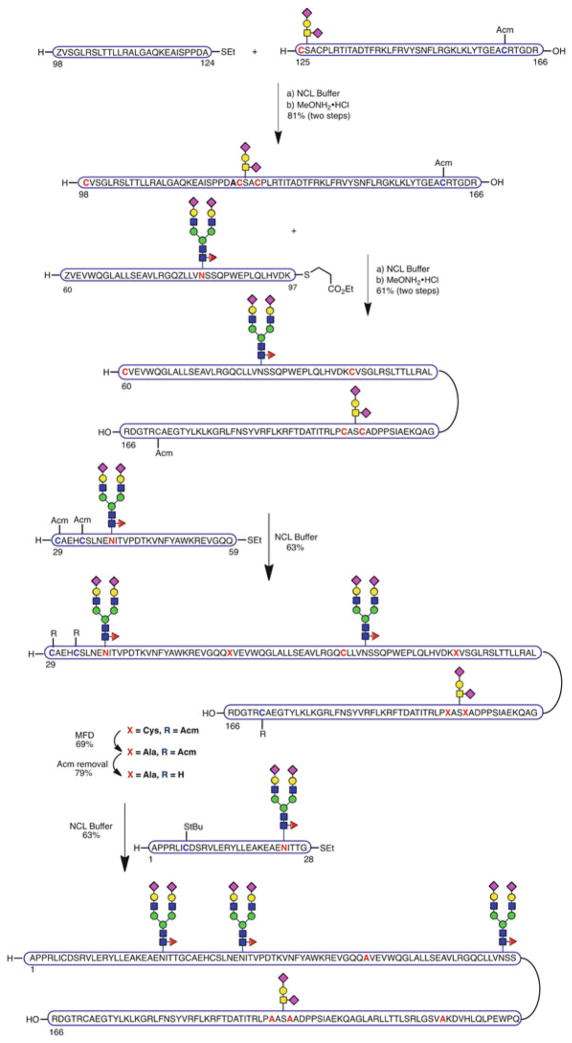 Scheme 16