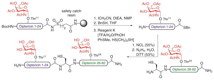 Scheme 4