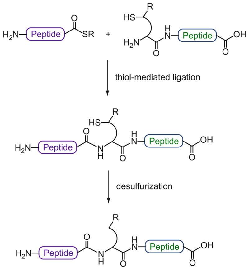 Scheme 7