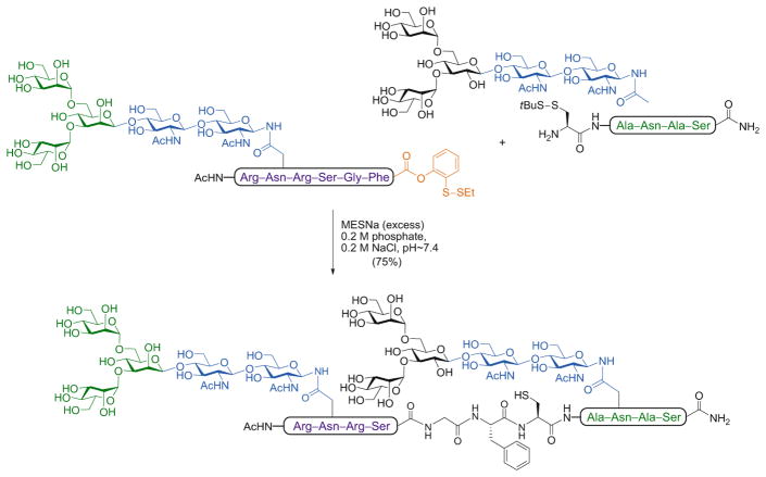 Scheme 5