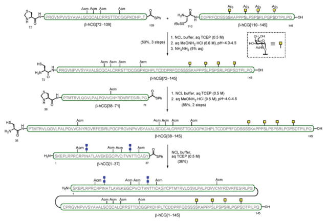 Scheme 10