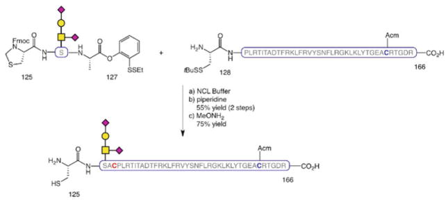 Scheme 13