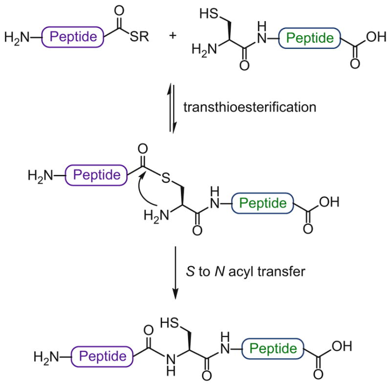 Scheme 3