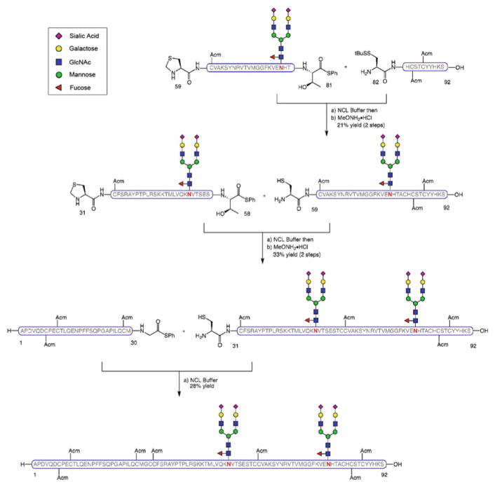 Scheme 8