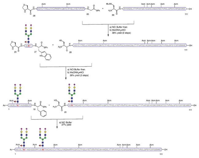 Scheme 9