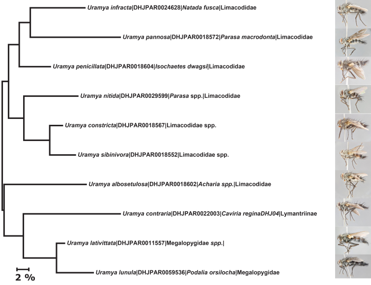 Figure 19.