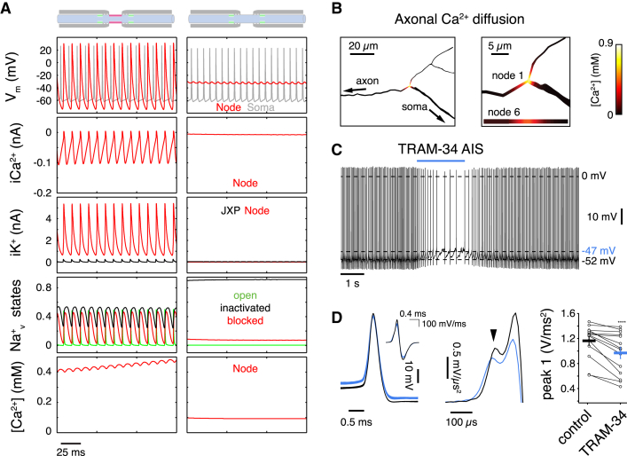 Figure 4