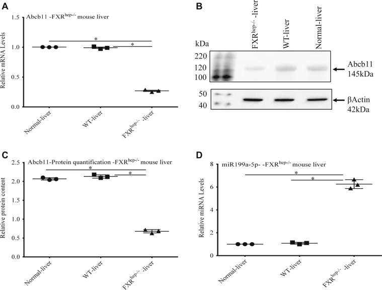 Figure 6