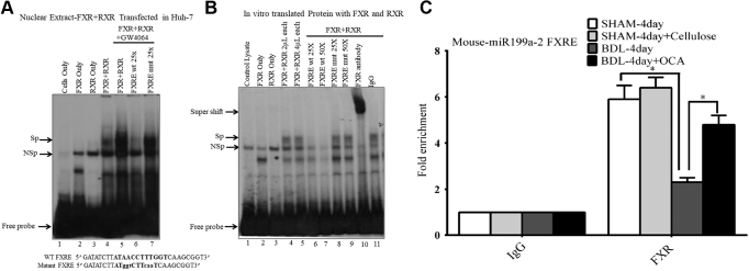 Figure 9