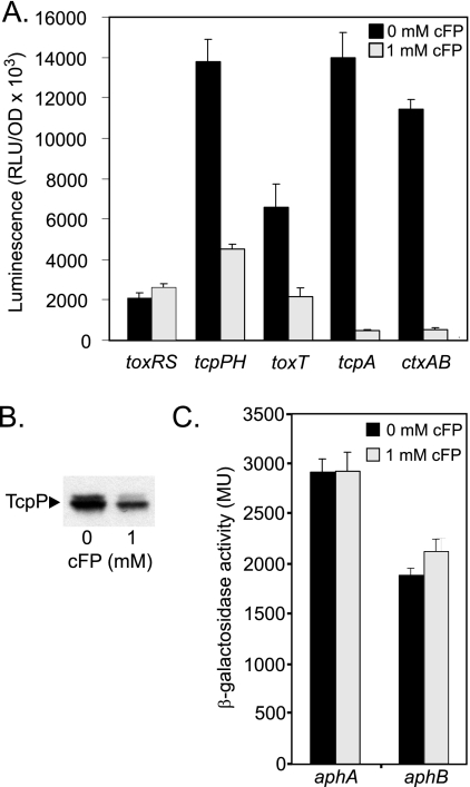 FIG. 2.