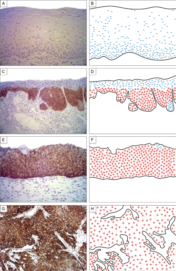 Fig. 2: