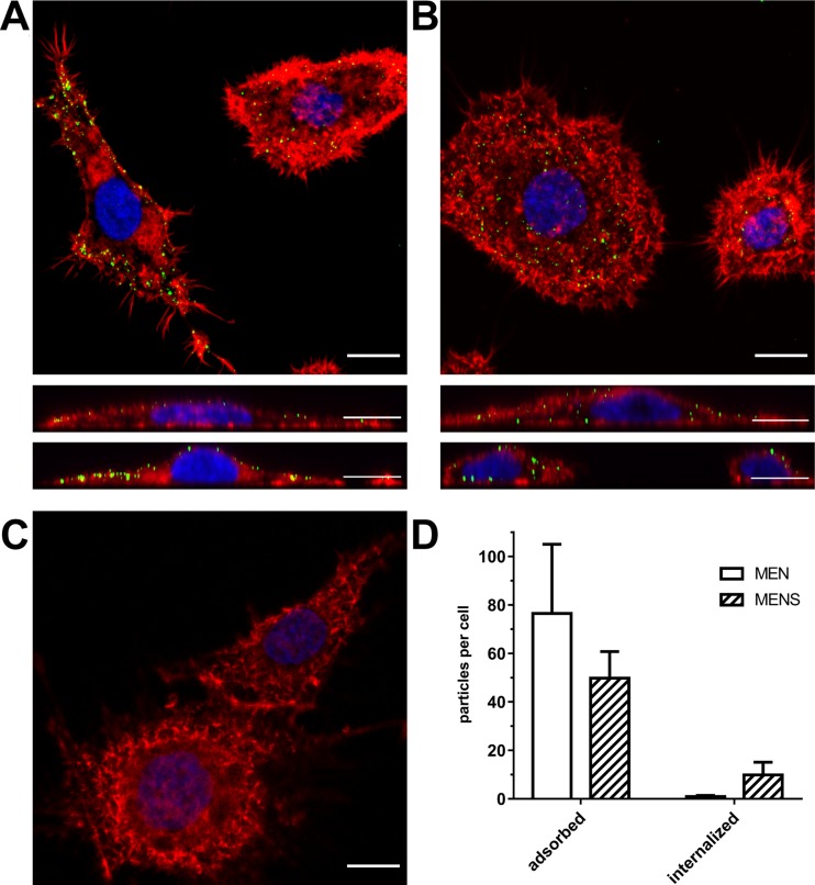 FIG 2