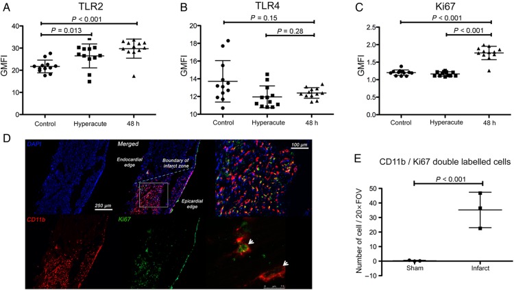 Figure 6