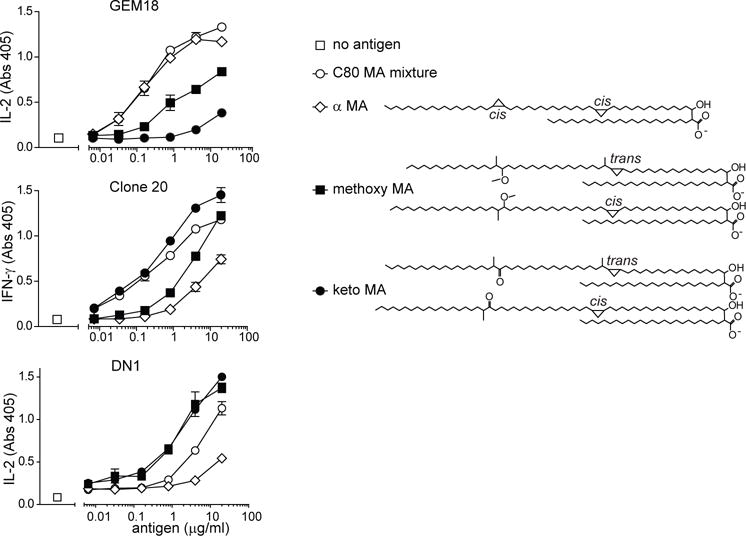 Fig. 3