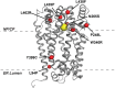 Fig. 7.