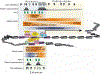 Fig. 3.