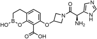 Fig. 20