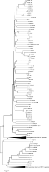 FIG. 1.