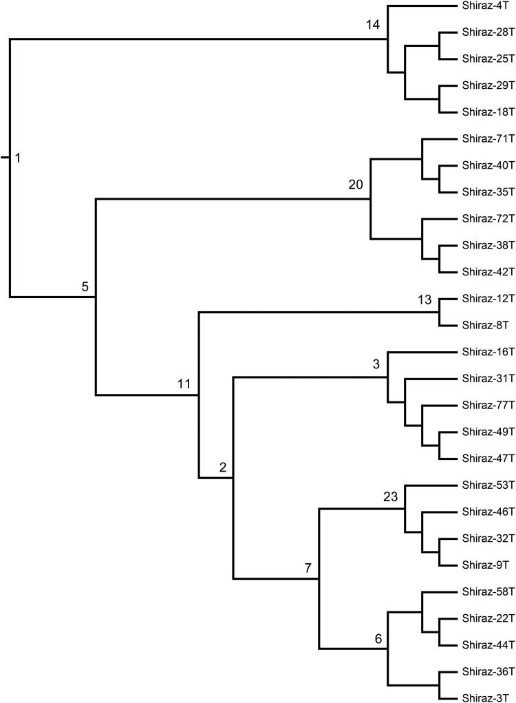 FIG. 3.