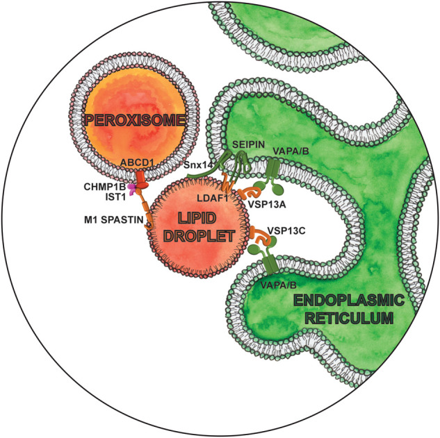 Figure 3.