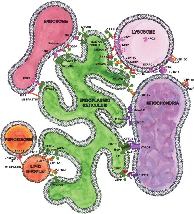 Figure 1.