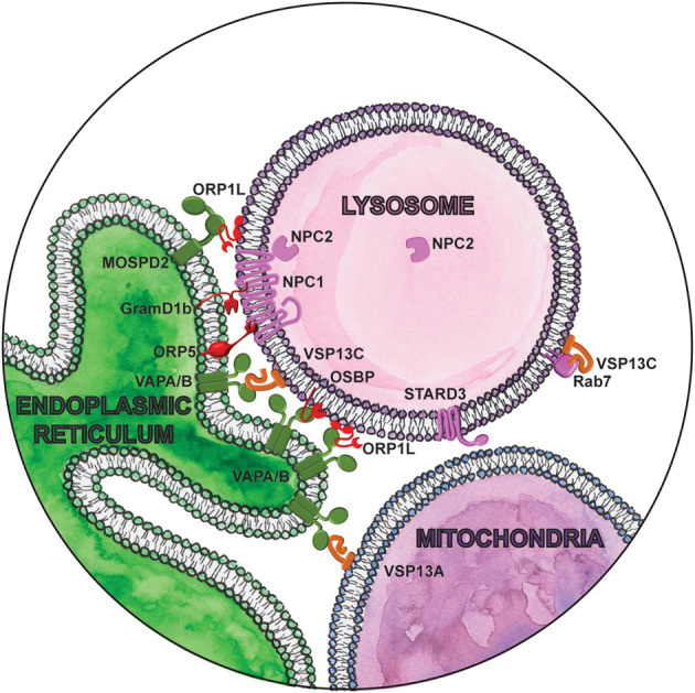 Figure 2.