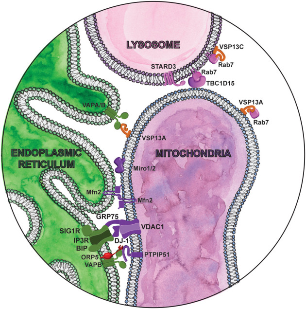 Figure 4.