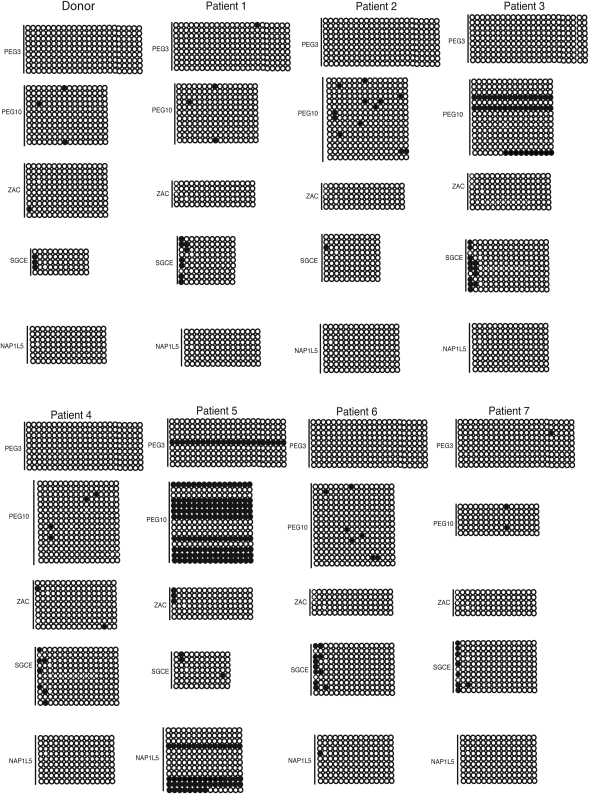 Figure 7