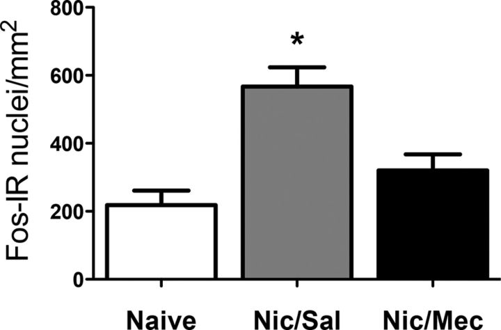 Figure 10.