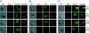 FIG. 3.