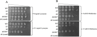 FIG 5
