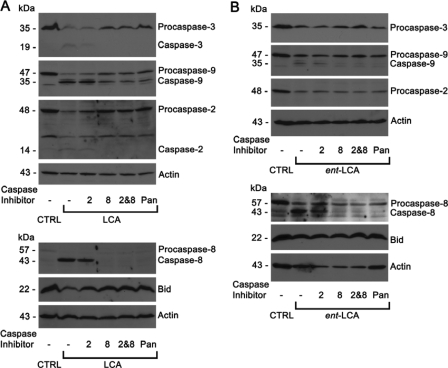 FIGURE 10.