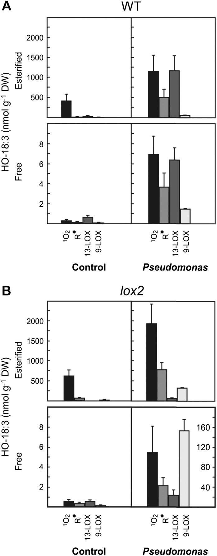 Figure 5.