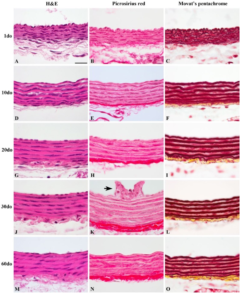 Figure 6.