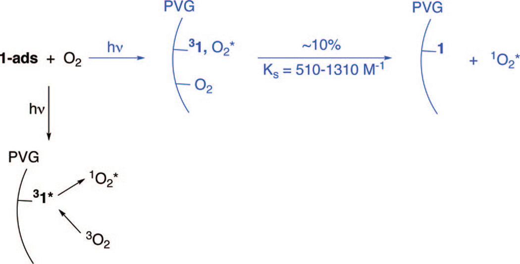 SCHEME 2