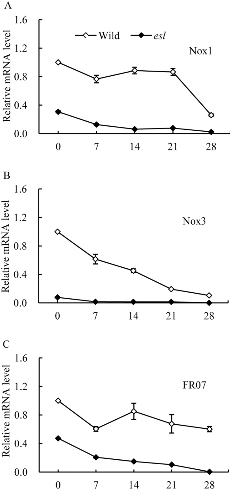 Fig 6