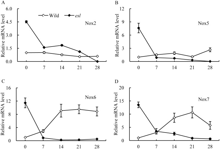 Fig 5