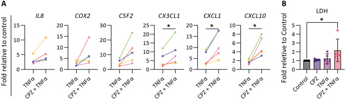 Fig. 6