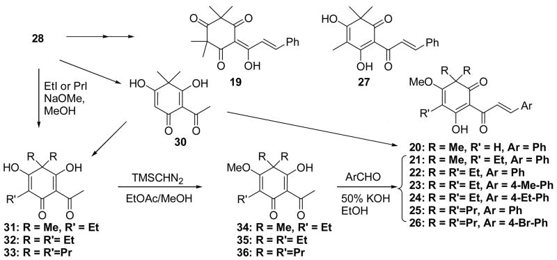 Scheme 2