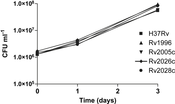 Figure 6