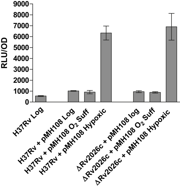 Figure 5