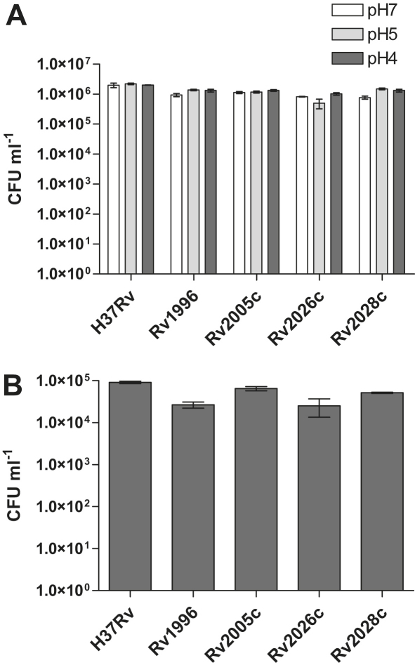 Figure 4