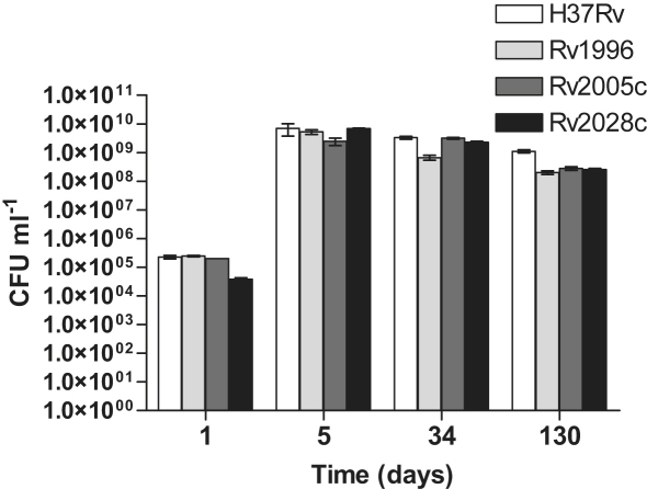 Figure 3