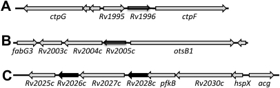 Figure 2