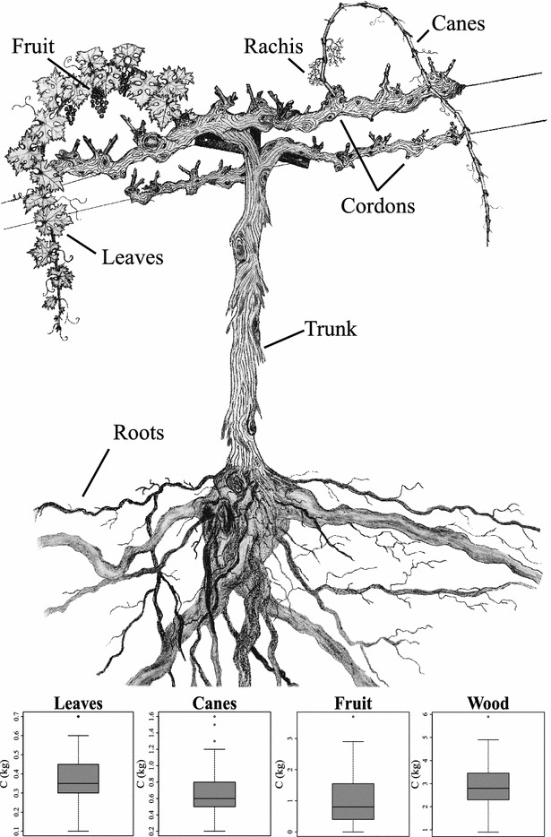 Fig. 2