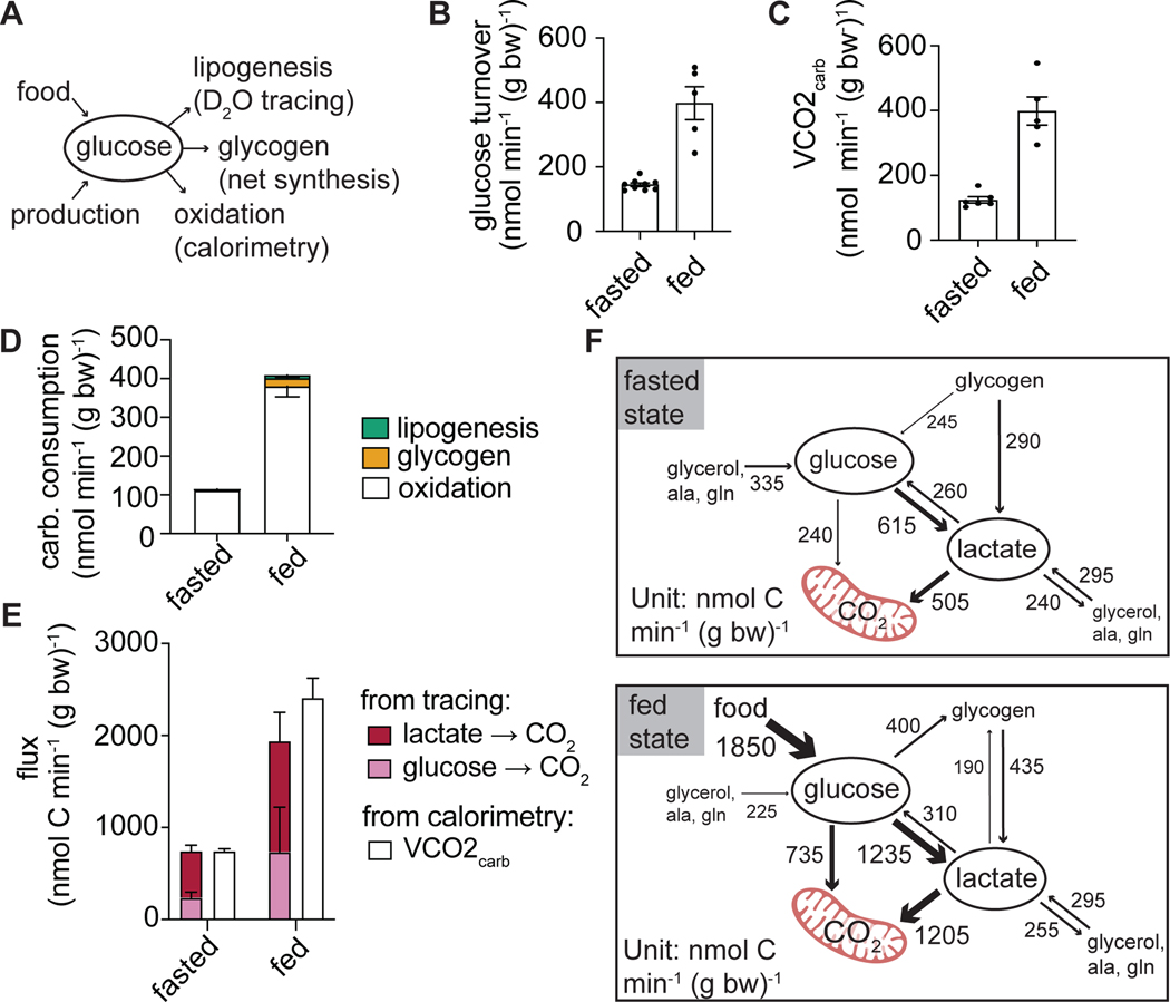 Figure 6.