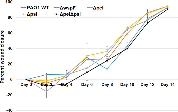 Figure 2