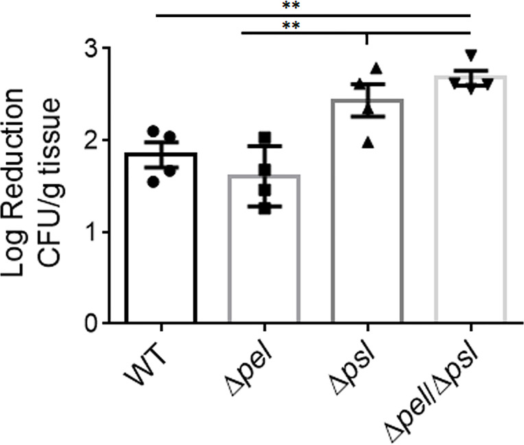 Figure 6