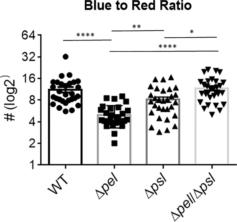 Figure 5